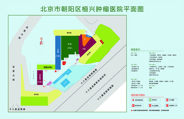 干你的大骚逼视频北京市朝阳区桓兴肿瘤医院平面图